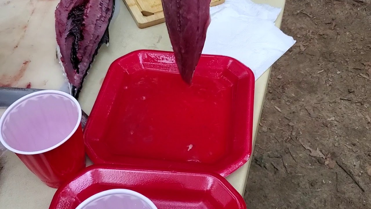 Sashimi Albacore