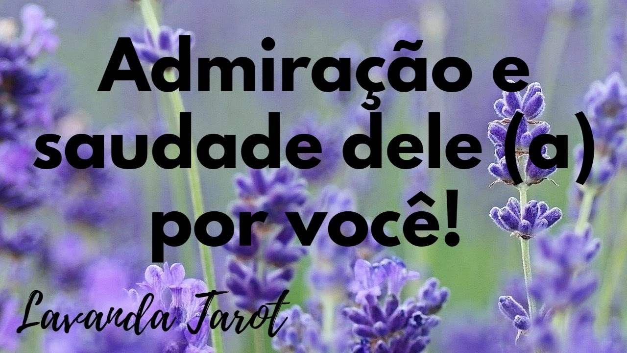 #tarot 💜 💌 Admiração e saudade dele (a) por você!💜💌