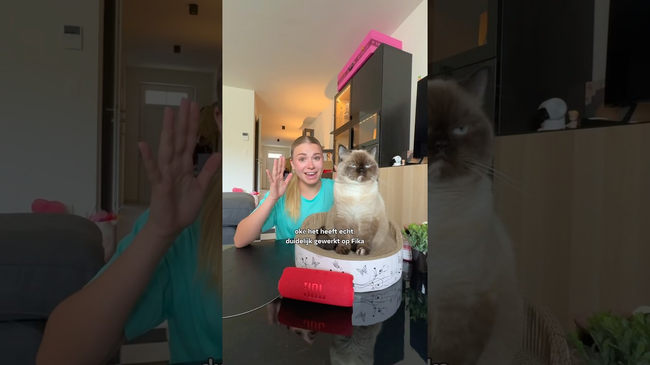 PRATEN MET JE KAT?!😳
