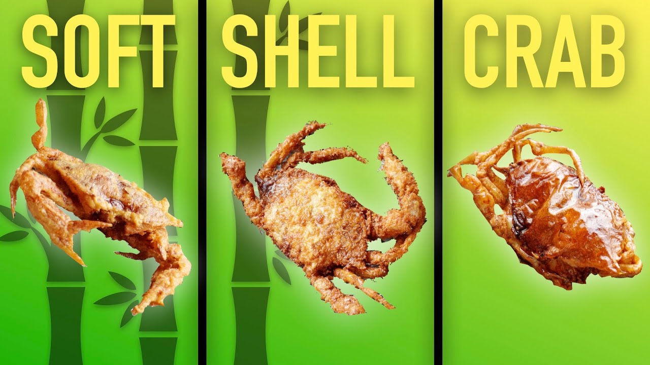 Mastering Soft Shell Crab Appetizers: 3 Ways, 3 Sauces