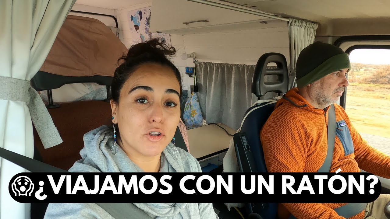 😱 VIAJAMOS con un POLIZÓN 🐭 desde Parque Nacional Torres del Paine hasta PUNTA ARENAS