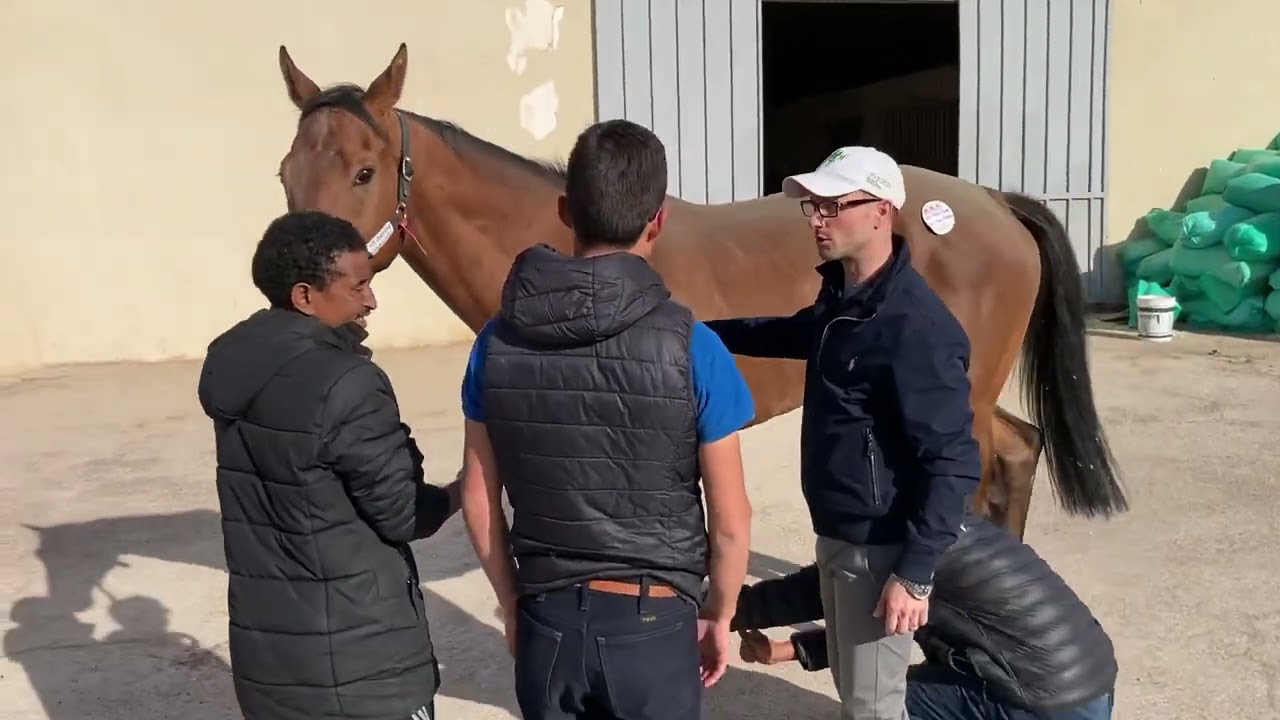 Un día con Ricardo Sousa en Arabia Saudita
