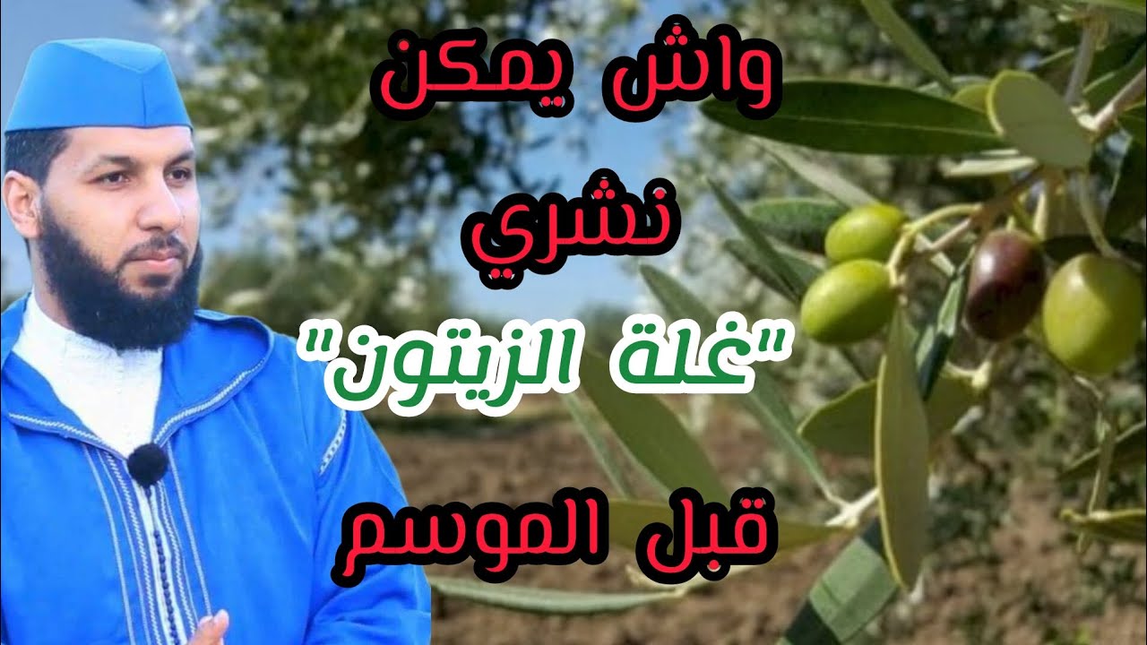 هل يجوز شراء ثمار الزيتون قبل نضجها❓️#الدكتور_حمزة_الخالدي 🌹💕