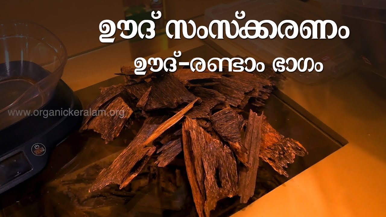 ഊദിൽ നിന്നുള്ള ഉത്പന്നങ്ങൾ  | Oudh | Distilation | Oudh Oil | Part 2