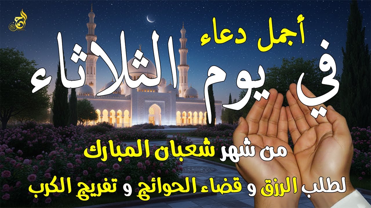 دعاء فى يوم الثلاثاء المستجاب دعاء في يوم 8 من شهر شعبان للرزق والشفاء العاجل وقضاء الحوائج 🤲(4k)