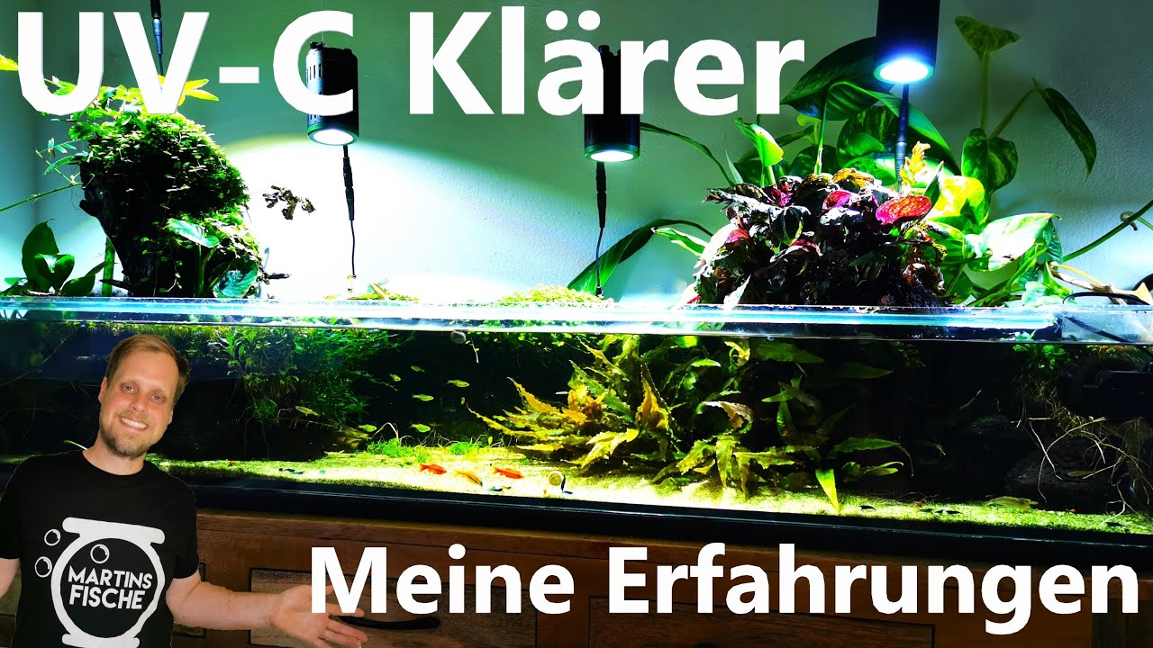 UV-C Klärer im Aquarium - Wann ist der Einsatz sinnvoll? Meine Erfahrungen