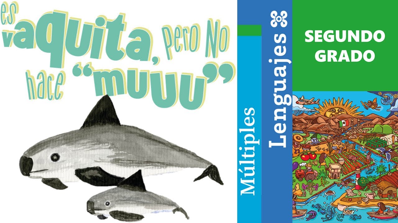Es vaquita, pero no hace “muuu” (Múltiples lenguajes, Segundo grado)
