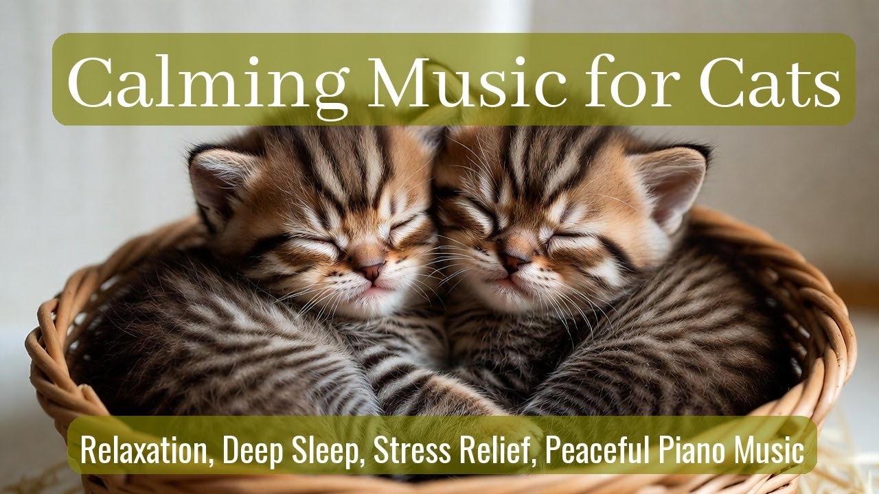 Calming Music for Cats - Relaxation, Deep Sleep, Stress Relief, Peaceful Piano Music | Season 58