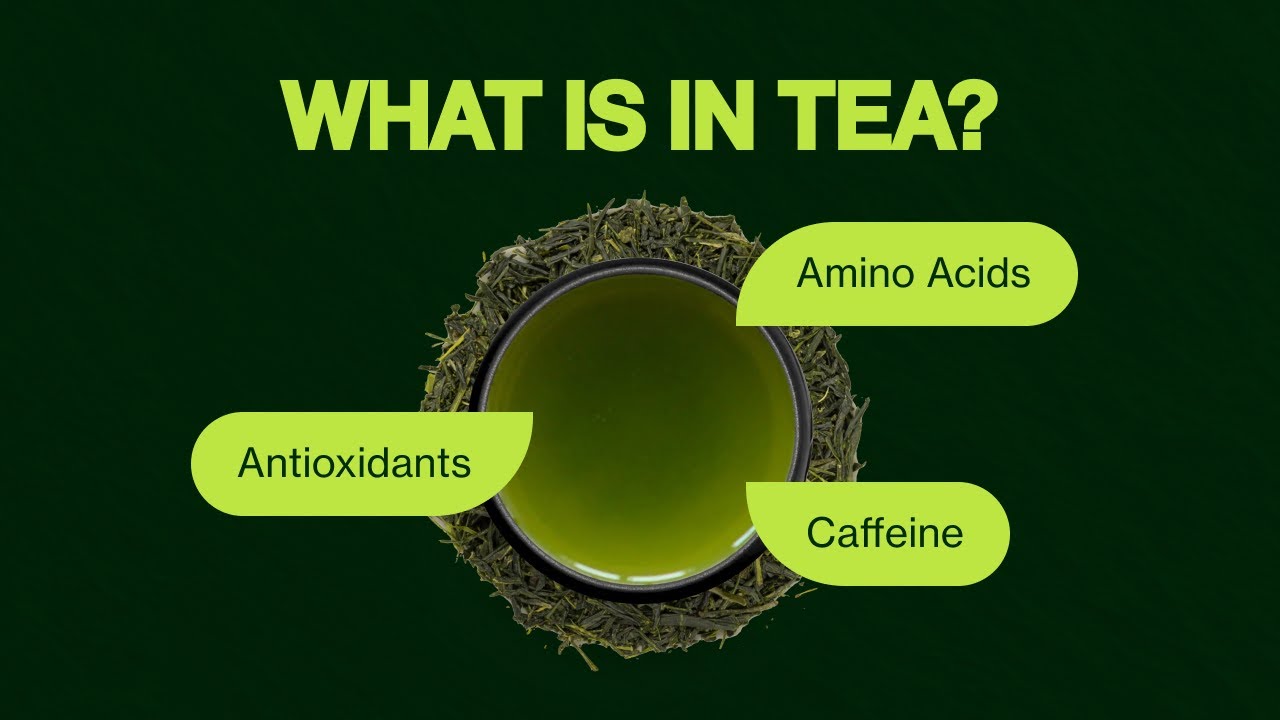 Chemical Composition of Green Tea - Polyphenols, Theanine and Antioxidants in Tea