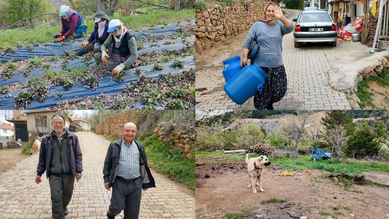 Köy yaşantısı