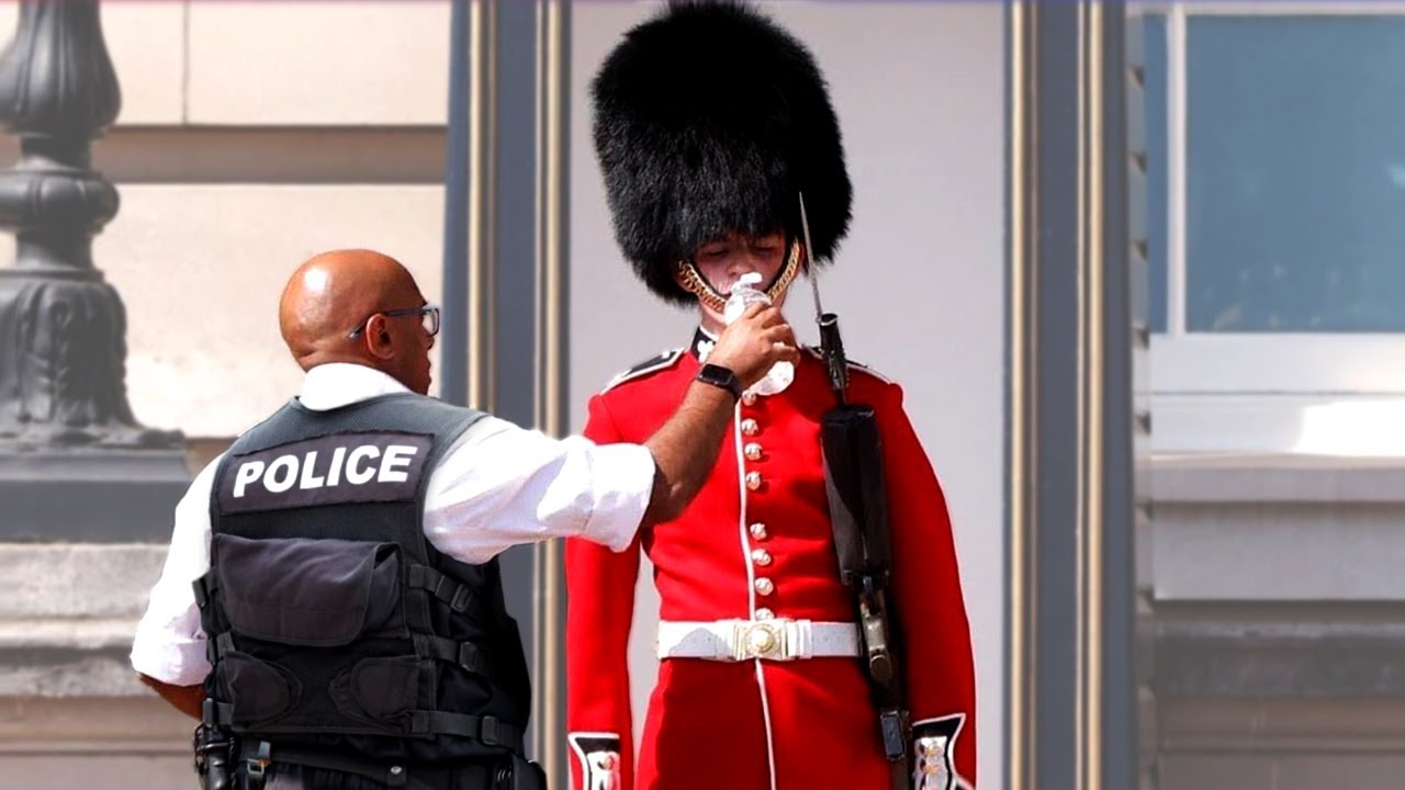 涙なくして見られない！親切な行いの数々!