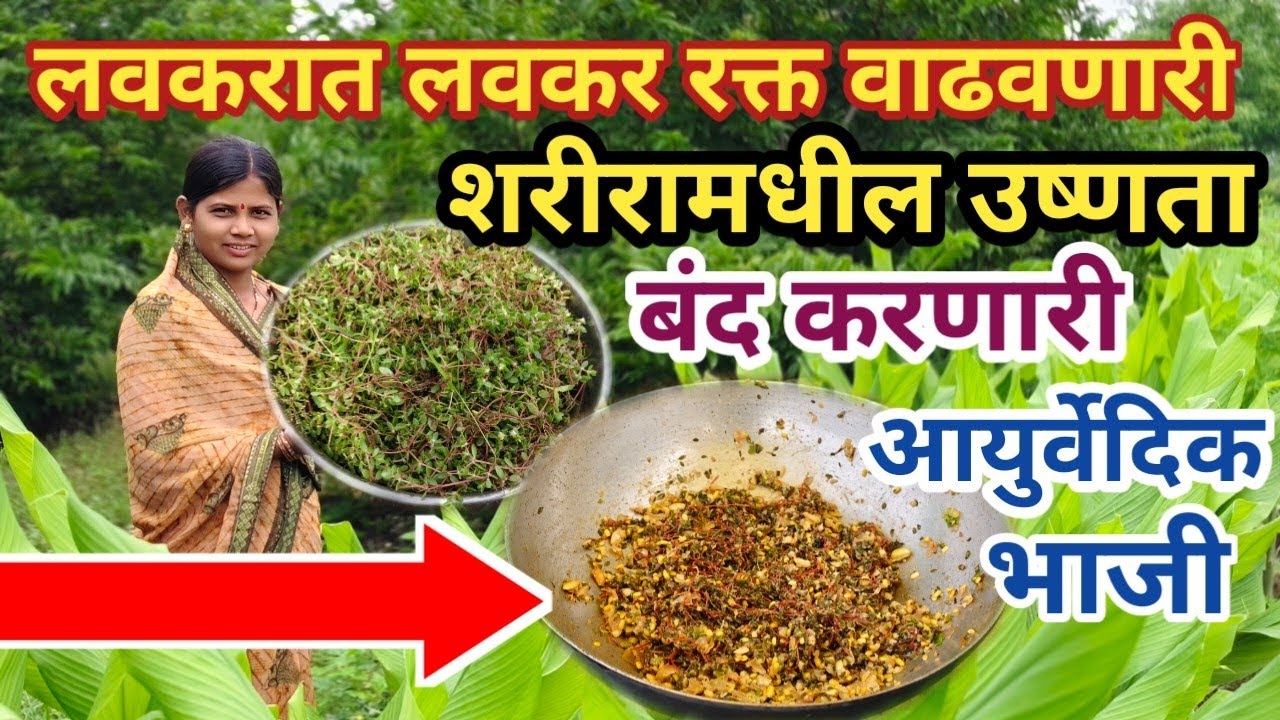 सर्वात पौष्टिक लवकरात लवकर रक्त वाढवणारी व रक्त शुद्ध करणारी आयुर्वेदिक भाजी | Chilachi Bhaji 