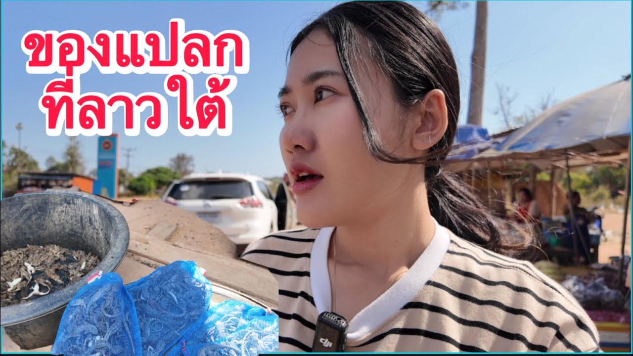ตลาดที่ลาวใต้มีอะไรแปลกแปลกเยอะมากมาดูกันค่ะ