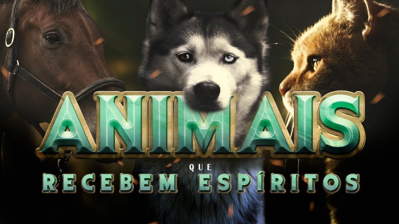 Animais que Recebem Espíritos / Cortes do Rabino Eliahu