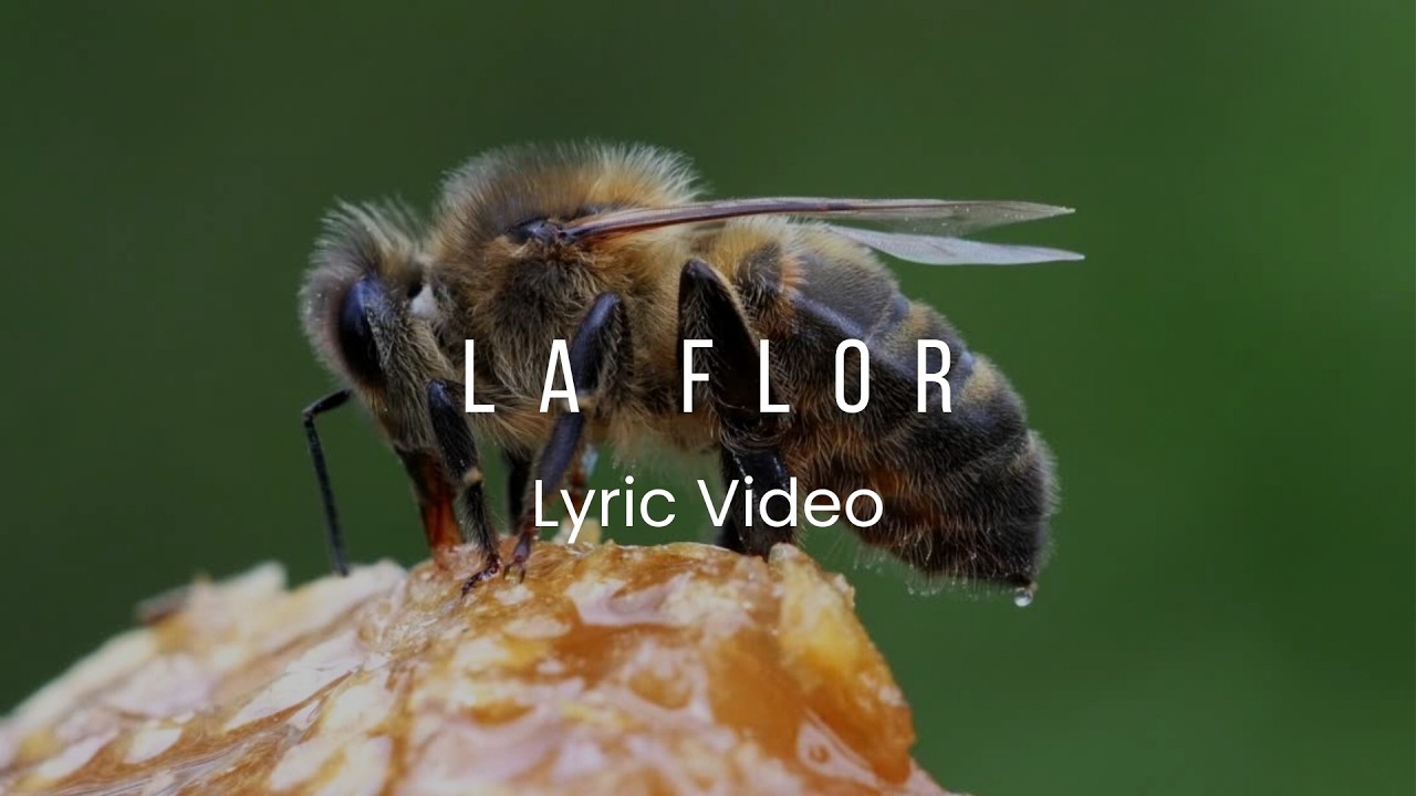 Claroscuro - La Flor (Lyric Video)