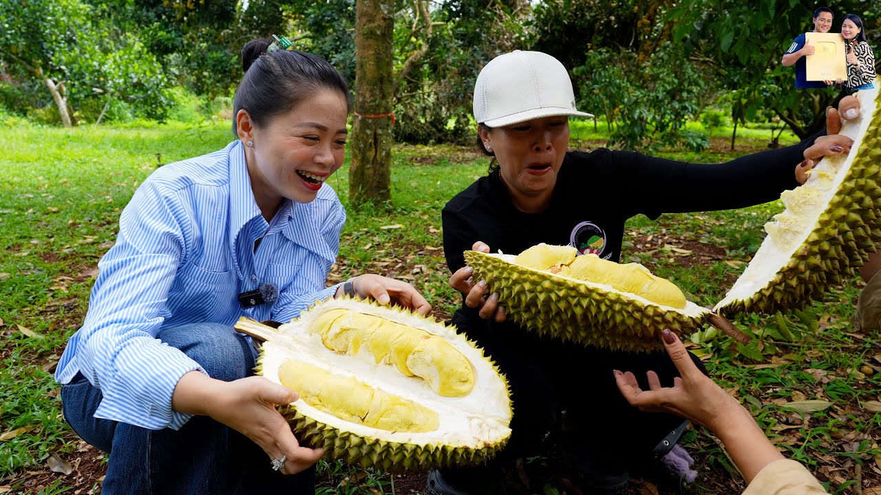 Về Long Khánh Quê Em ăn Sầu Riêng chín cây rụng gốc đầy vườn, được đãi Heo quay da giòn siêu ngon