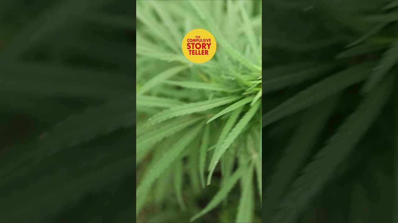 420 Drug Dealing Dad The Compulsive Storyteller  #podcast #storytelling #dad