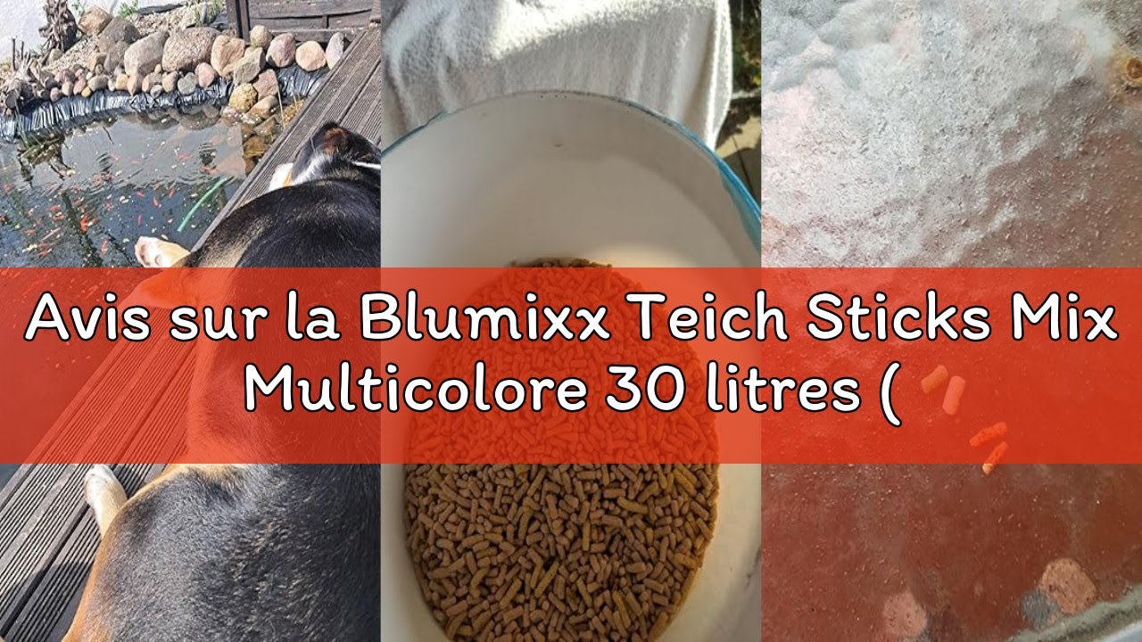 Avis sur la Blumixx Teich Sticks Mix Multicolore 30 litres (3X 10 L) Sachet, Premium Aliment Complet