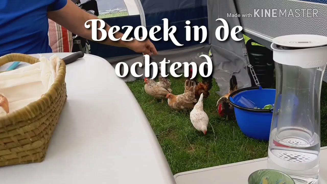 Vakantie op camping de la Cascade in Coo