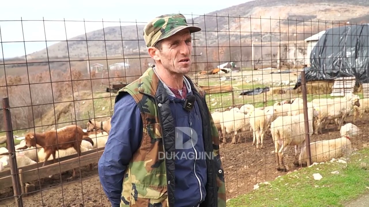 “KUR MA KANË DJEGË SHTALLËN kam ardh këtu nuk kam pas as me honger as gjumë as bukë”