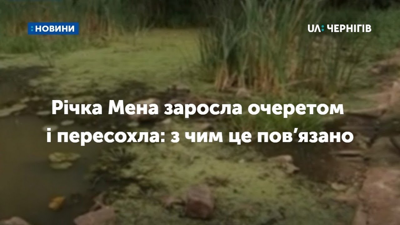 Річка Мена заросла очеретом  і пересохла: з чим це пов’язано