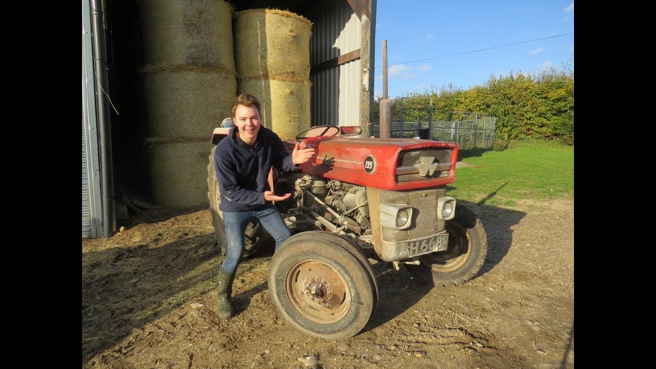 My Old Tractor MASSEY FERGUSON 135!