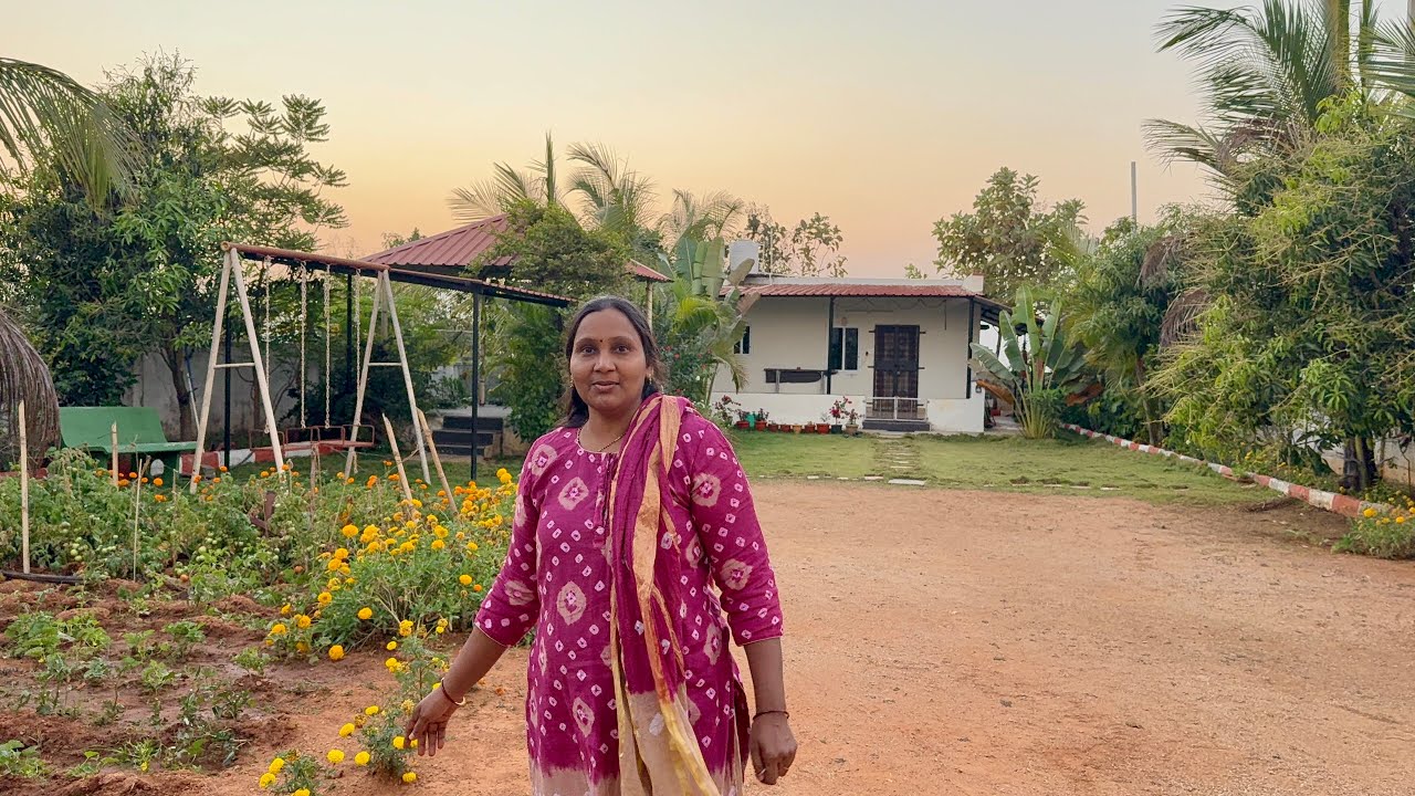  Hi andi, Nenu Mee Sridevi |చిన్న బ్రేక్ తర్వాత 🌿	3.	టమోటాలు చూసి ఆనందం 🍅