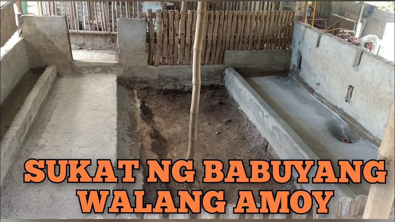 Mga sukat na dapat malaman bago magpagawa ng BABUYANG WALANG AMOY #babuyangwalangamoy #baboy #pig