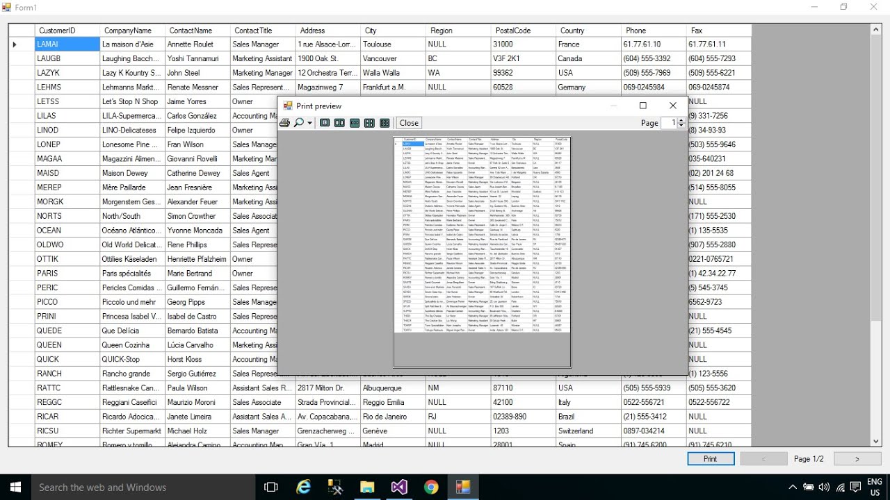 C# Tutorial - How to Print a DataGridView with Paging using Access Database | FoxLearn