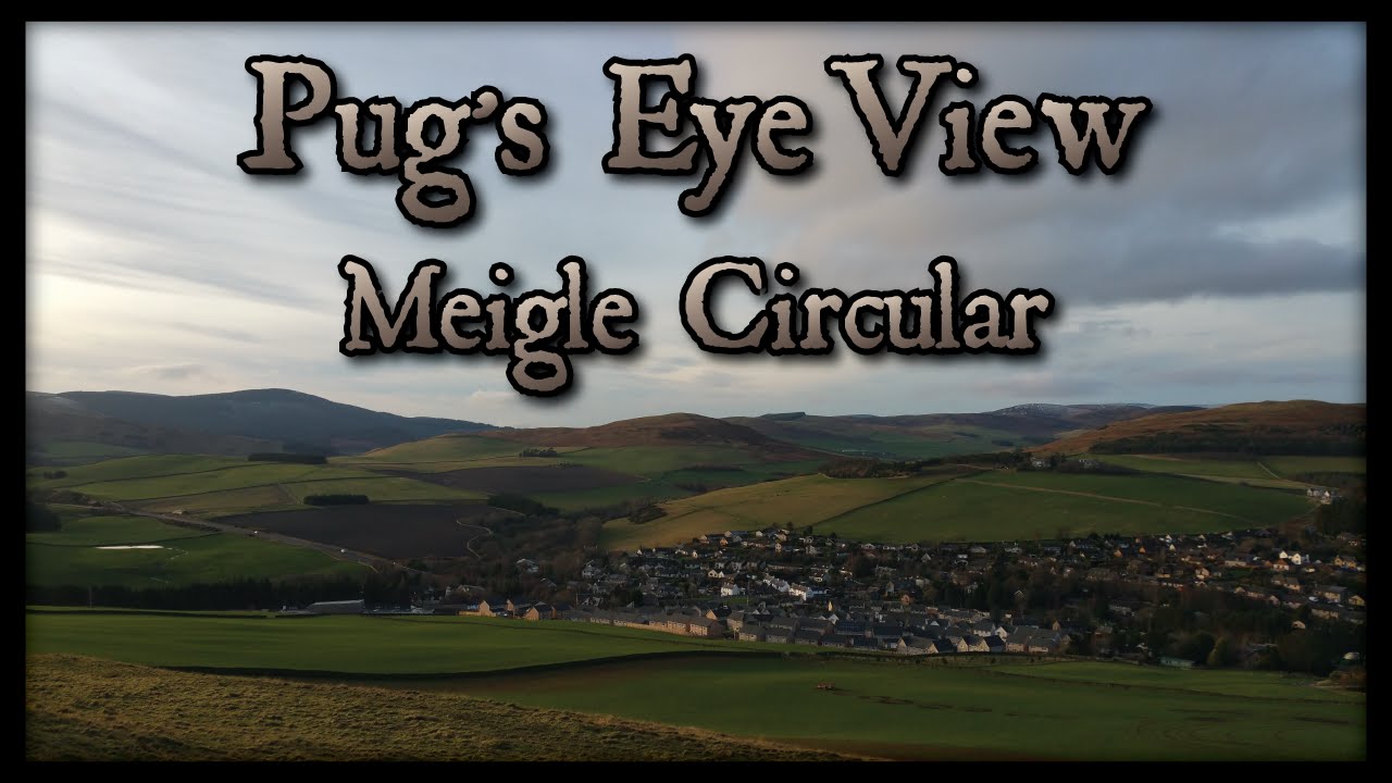 Pug's Eye View: Meigle Circular with Zoey