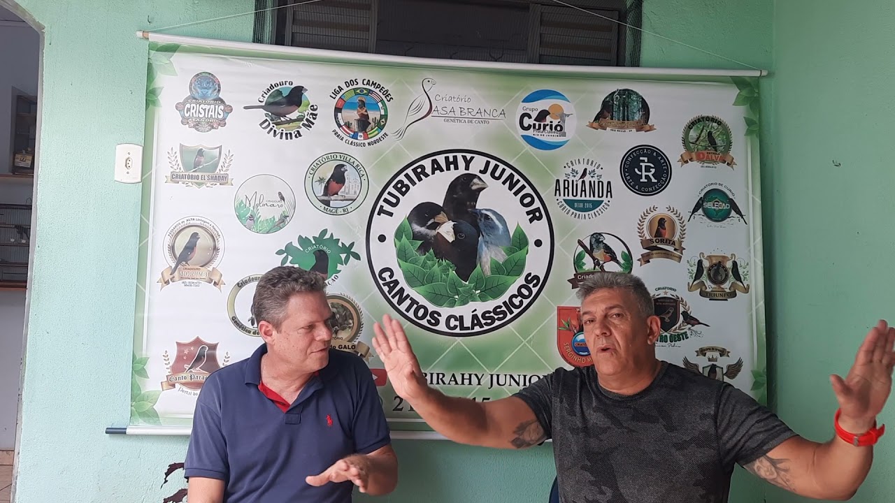 ENTREVISTA COM CRIADOR DE CURIO GUTO VETERINARIO  DE GOIÂNIA. 62 98622 1359.