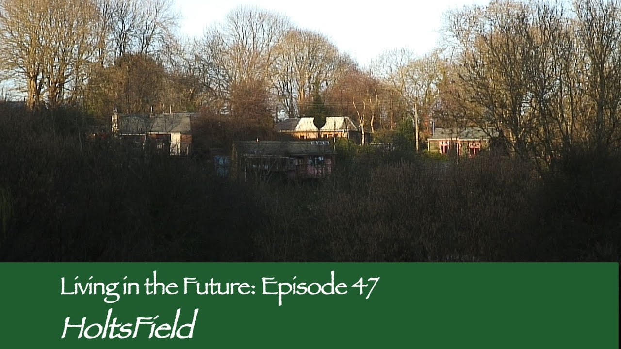 Holtsfield : Living in the Future (Ecovillages) 47