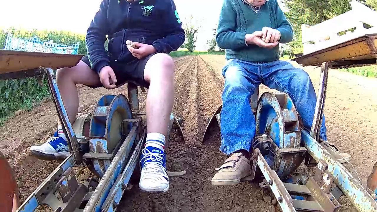 On plante les patates et papi rame un peu...