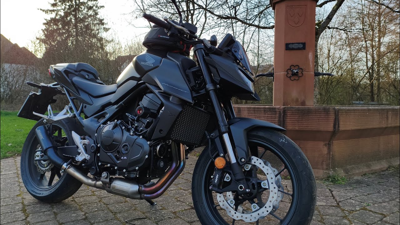 Honda CB 750 Hornet Shark RCT 🐭