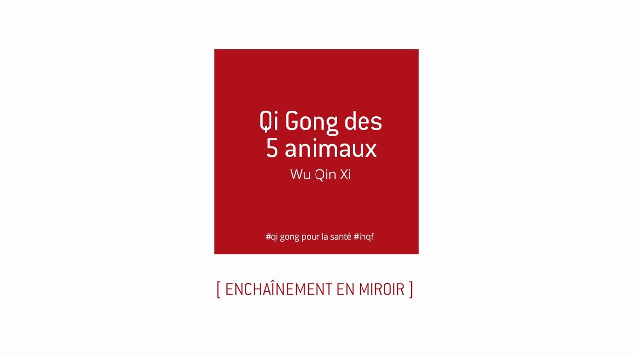 Qi Gong des 5 animaux - Wu Qin Xi - Miroir