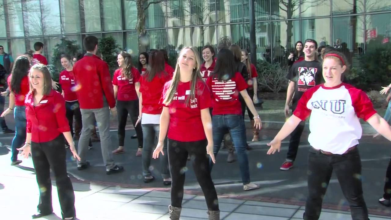 Northeastern University Flashmob - Husky Ambassadors