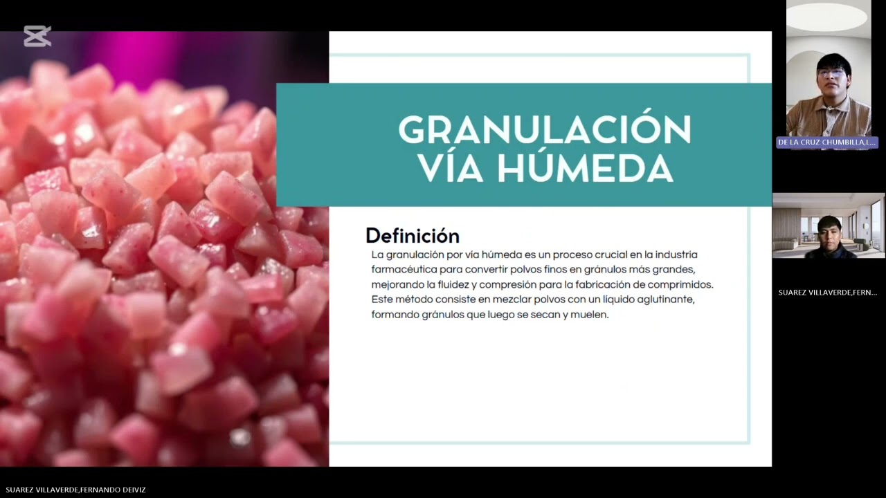 TIPOS DE GRANULACIÓN EN LA INDUSTRIA FARMACÉUTICA