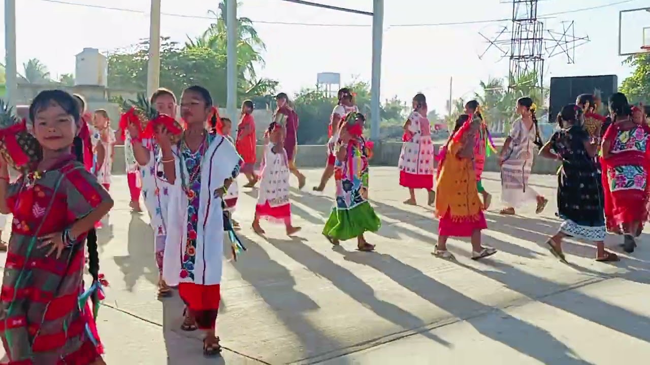 FLOR DE PIÑA - GRUPO DE DANZA ALBATROS