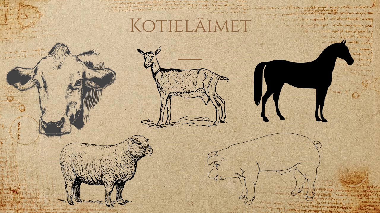 Suomen historia