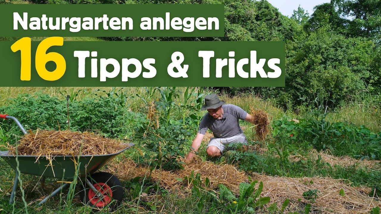 Das darf in KEINEM Naturgarten fehlen - 16 Tipps & Tricks 💚