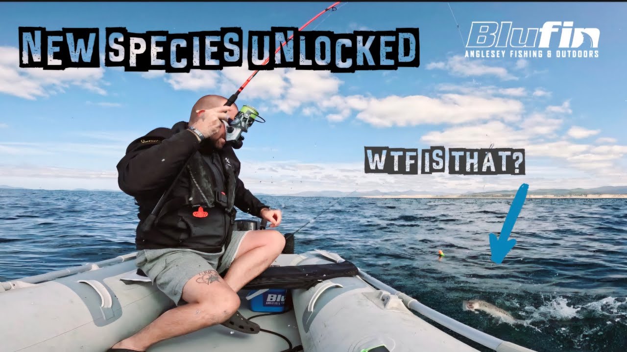 НОВЫЕ ВИДЫ ~ 7 миль на лодке ~ НЕОЖИДАННЫЙ УЛОВ!!! ~ SIB Fishing UK