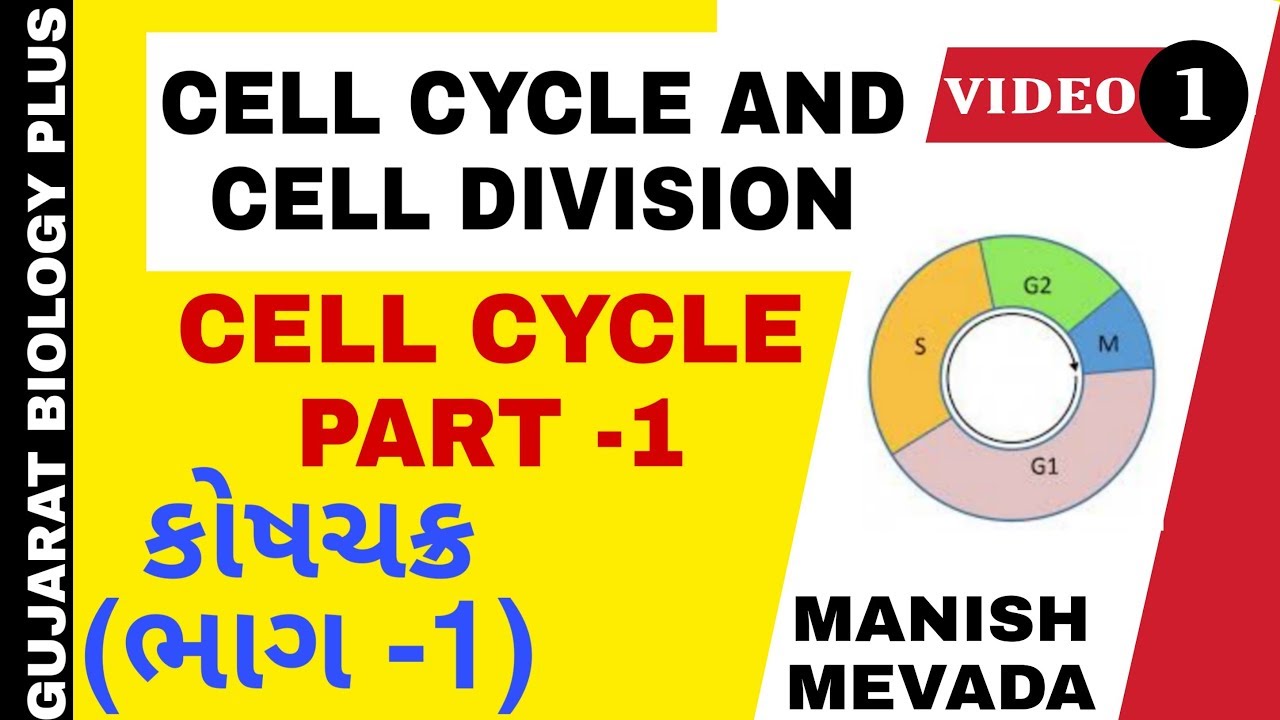CELL CYCLE( PART -1) IN GUJARATI || કોષ ચક્ર ( ભાગ -1)