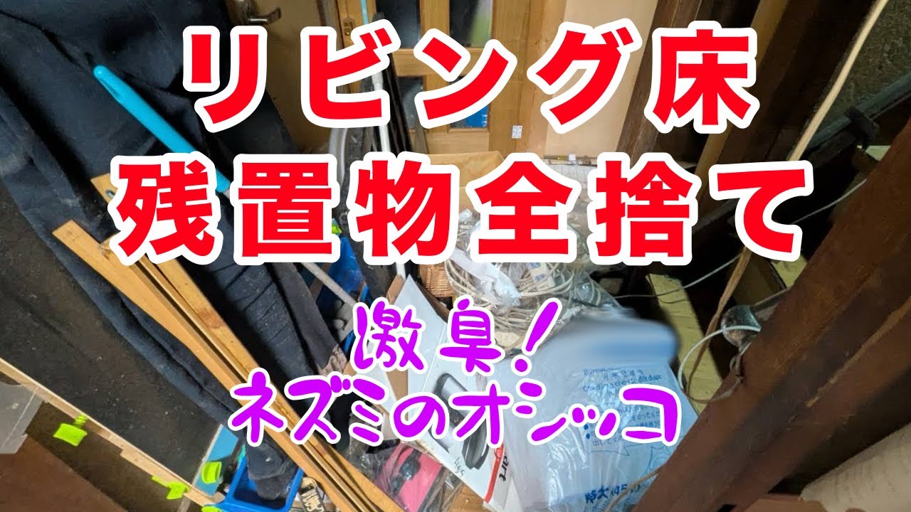 緊急！リビング床のゴミを全捨て！何枚もの絨毯に敷物…この異臭は尿！？#125 #ゴミ屋敷#義実家
