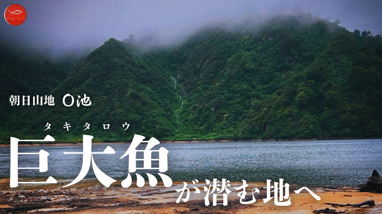 暴風雨の中、巨大魚伝説を追い求める【朝日山地 / 大鳥池】