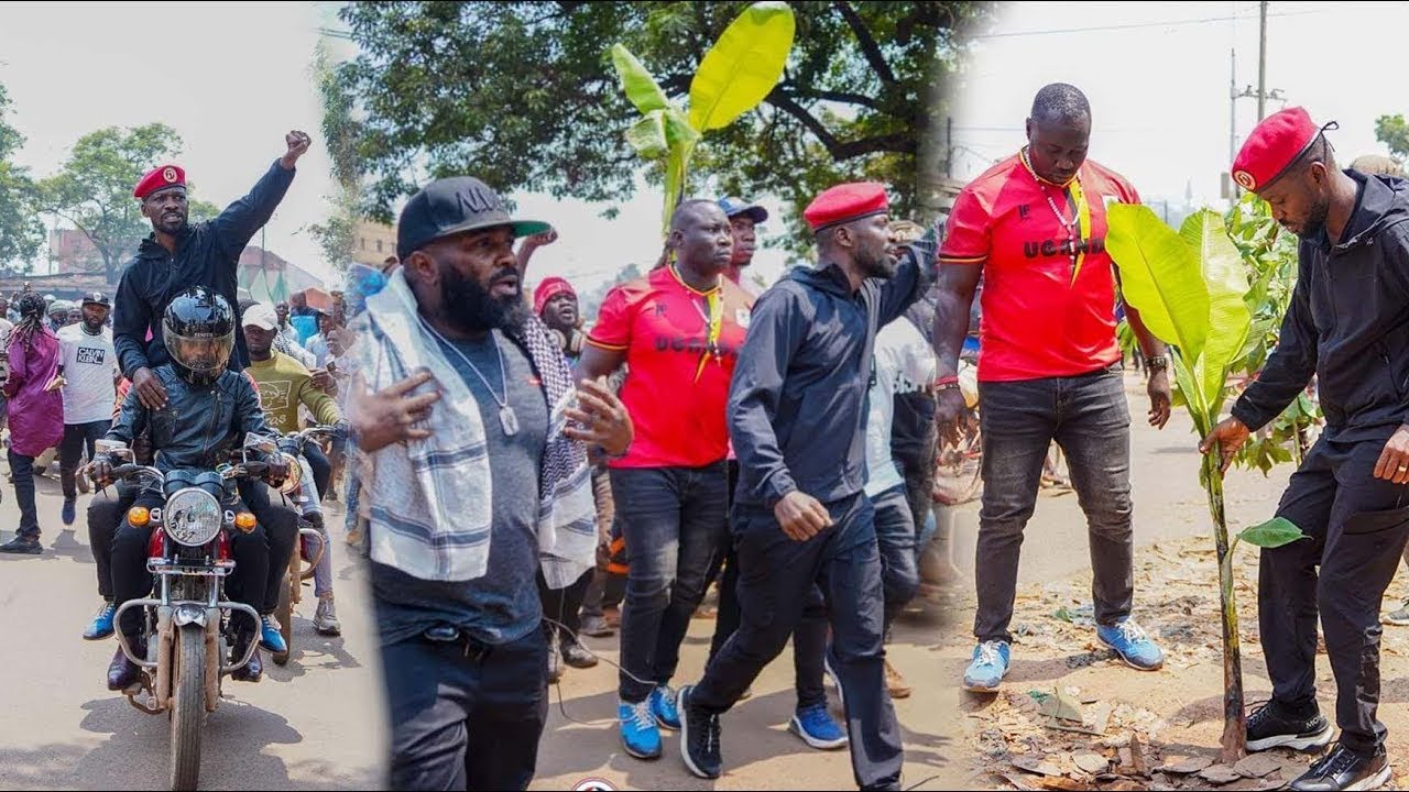 #FrankNtambi ku #Bowine afiirawo Benyodde ne #Mako kukusiimba ebitooke. Kirimu amukulu oba?
