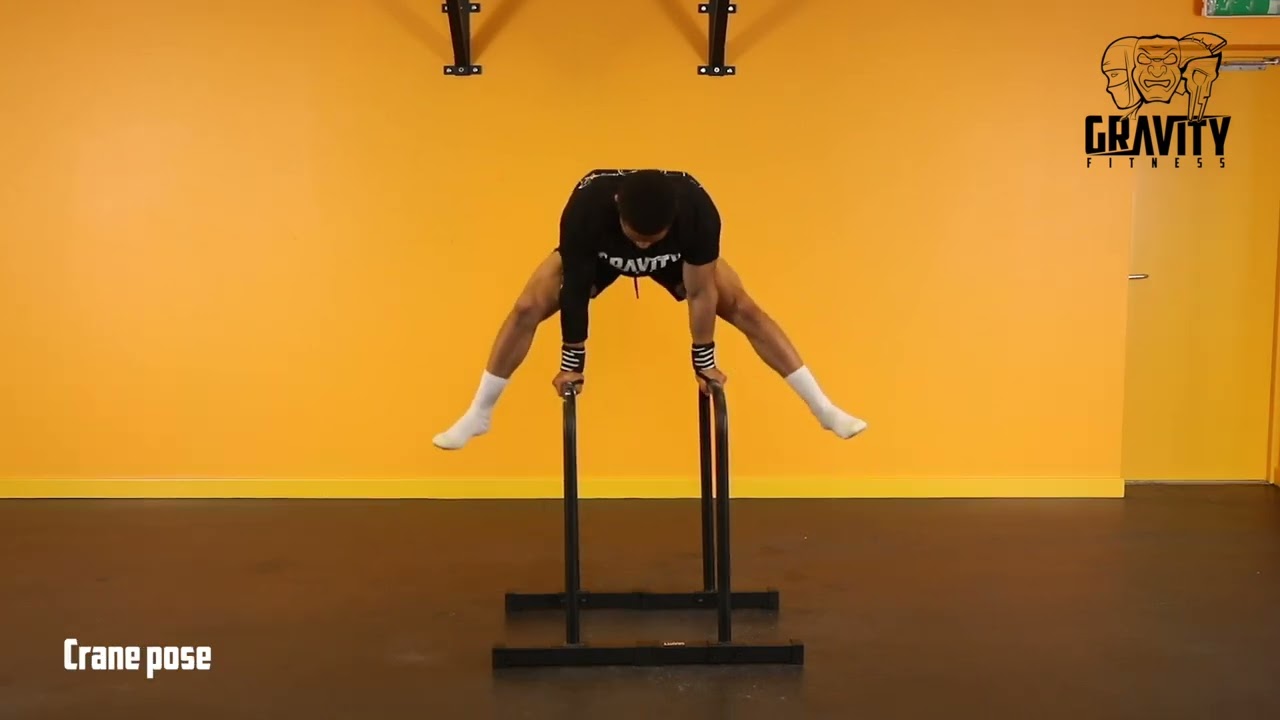 73 exercises you can do with a Gravity Fitness XL Parallettes
