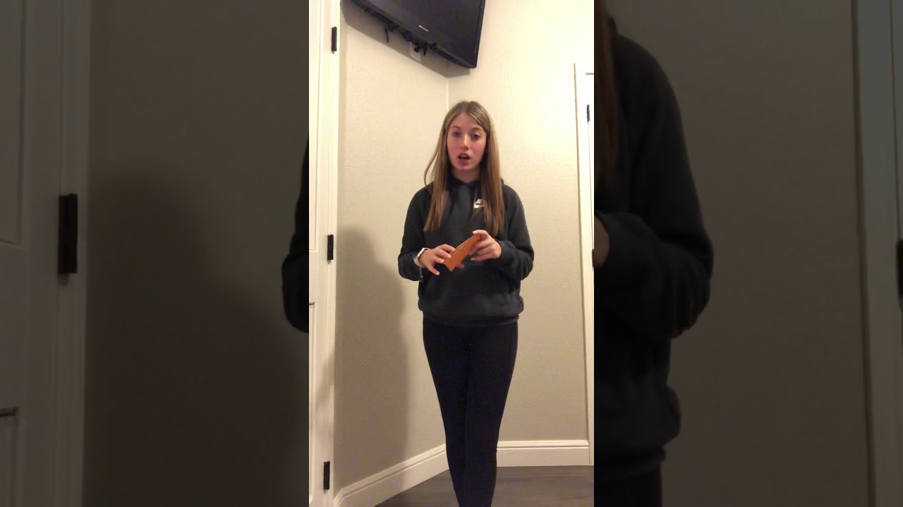 Persuasive speech, Cheyenne Holloway