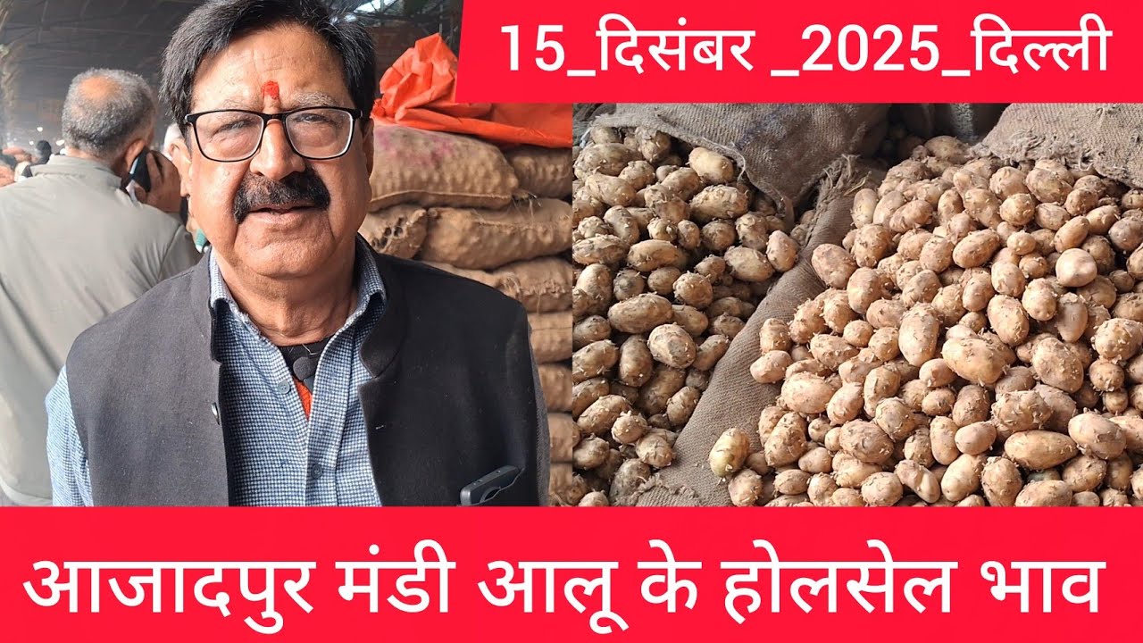December 15, 2025 दिल्ली 🥔आलू के भाव Azadpur Delhi mandi today #PotatoMarket #delhipotatomarket 