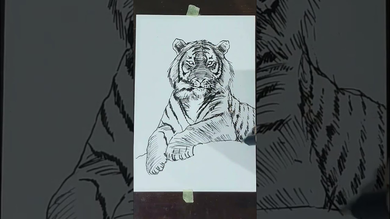 #tiger #harimau #drawing