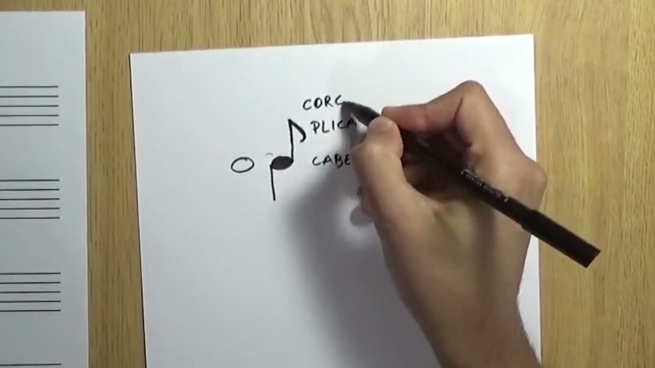 Curso de Solfeo #4 - Las partes de las notas. Cuándo dibujar la Plica hacia arriba o hacia abajo.